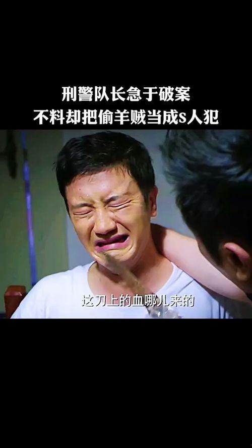 日韩破案影视剧剪辑视频,破案瞬间，智慧与勇气的对决