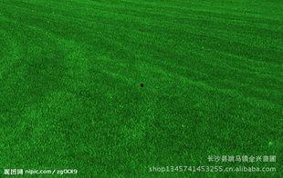 青草亚洲长视频,探寻东方文化的魅力与深度