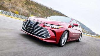 亚洲龙喷水视频,揭秘神秘生物的神秘力量